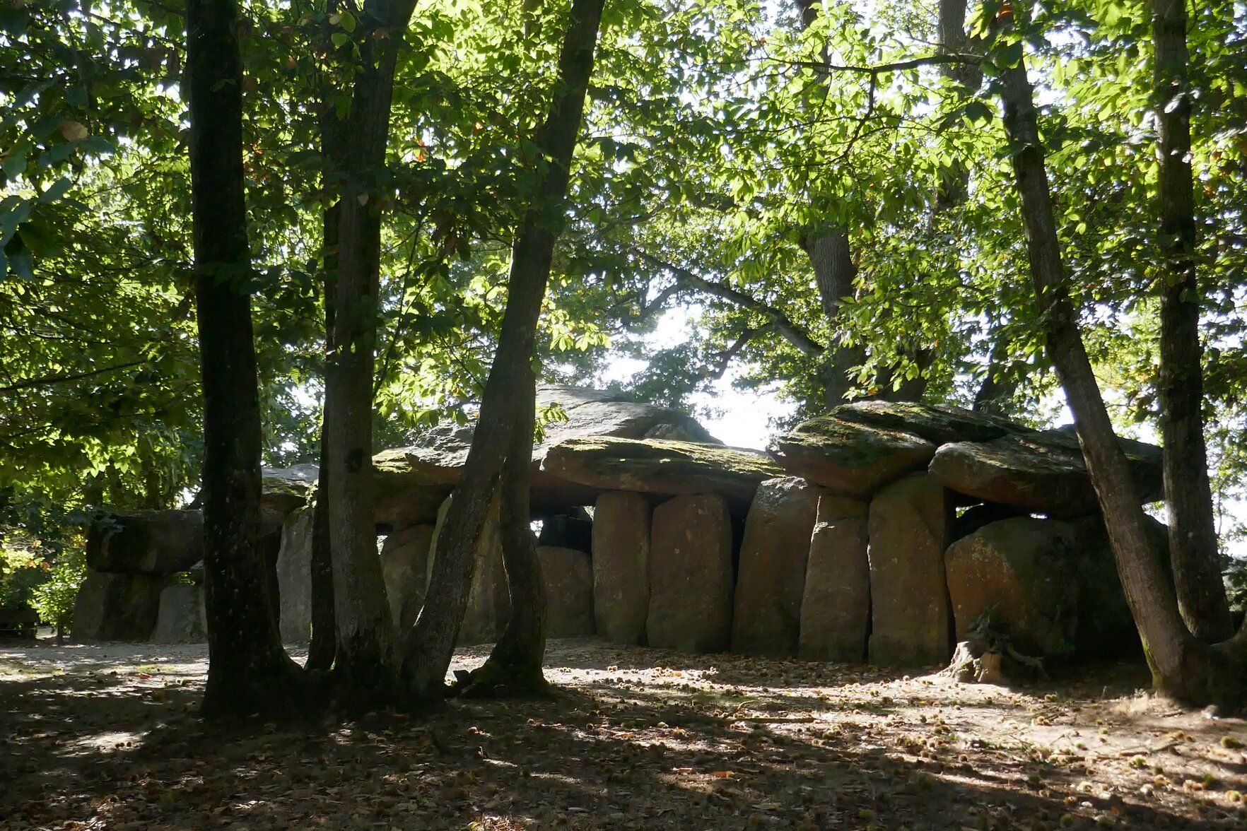 52-Magisch 52-Magisch000