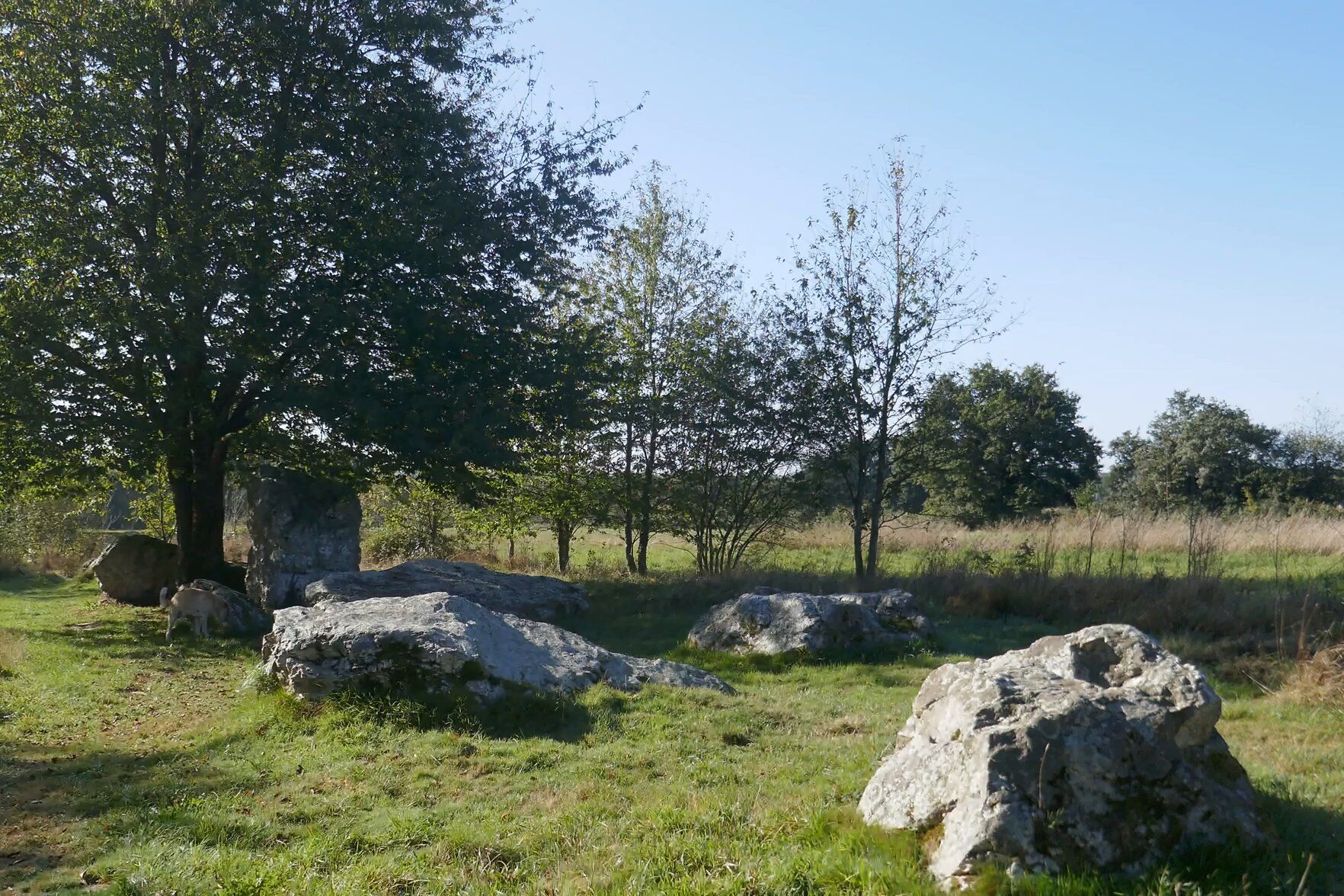 63-In-diverse-rijen 63-In-diverse-rijen000