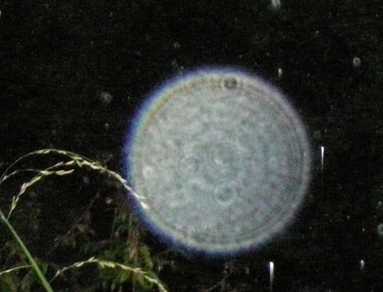 The Magic and Mysteries of Orbs - for Kindred Spirit - Jaap Rameijer's Blog